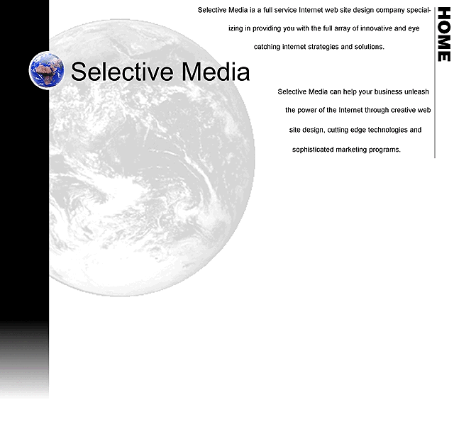 Selective Media Web Site Devlopement